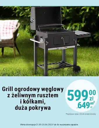 Biedronka Grill węglowy oferta