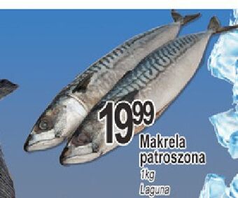 E.Leclerc Makrela patroszona laguna oferta