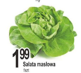E.Leclerc Sałata masłowa oferta
