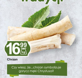 Hitpol Chrzan 1kg oferta