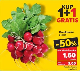 Kaufland Rzodkiewka pęczek oferta