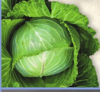 Twój Market Kapusta młoda oferta