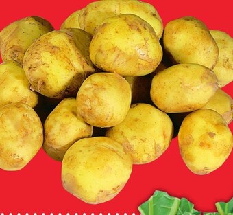 Selgros Ziemniaki oferta