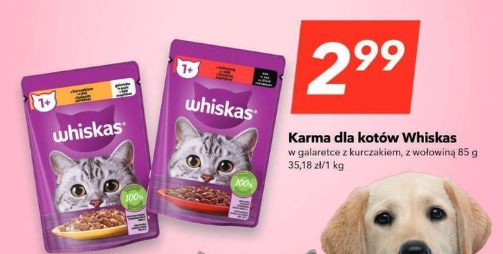 Lewiatan Karma dla kota z kurczakiem whiskas oferta