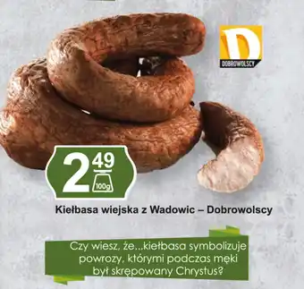 Hitpol Kiełbasa wiejska z Wadowic Dobrowolscy 100g oferta