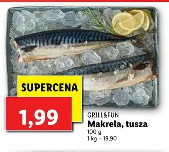 Lidl Makrela, tusza oferta