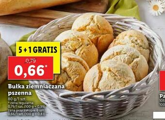 Lidl Bułka ziemniaczana pszenna oferta