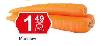 Hitpol Marchew 1kg oferta