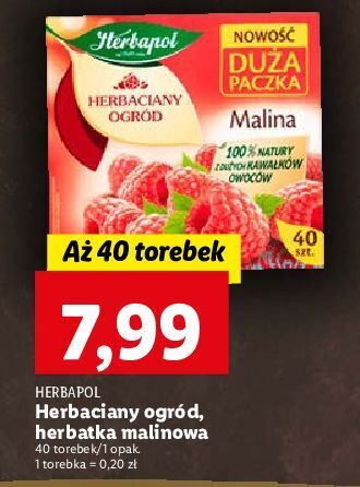 Lidl Herbata malina herbapol herbaciany ogród oferta