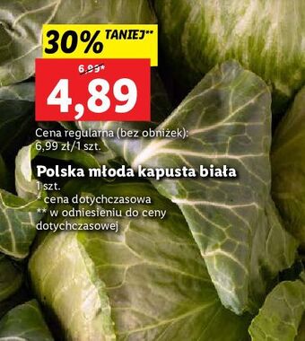 Lidl Kapusta biała oferta