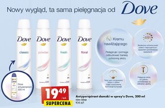 Biedronka Dezodorant dove powder oferta