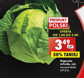 Biedronka Kapusta młoda oferta