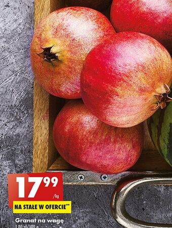 Biedronka Granat oferta