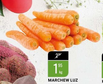 bi1 Marchew 1kg oferta