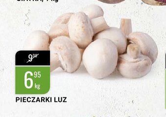 bi1 Pieczarki 1kg oferta