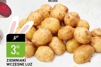 bi1 Ziemniaki wczesne 1kg oferta