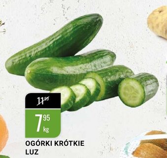 bi1 Ogórki krótkie 1kg oferta