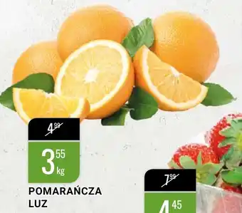 bi1 Pomarańcza 1kg oferta