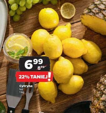 Netto Cytryna oferta
