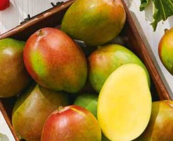 Stokrotka Market Mango oferta