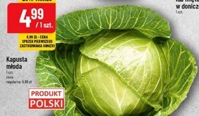Polomarket Kapusta młoda oferta