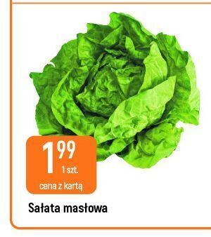 E.Leclerc Sałata masłowa oferta