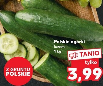 Kaufland Ogórek oferta