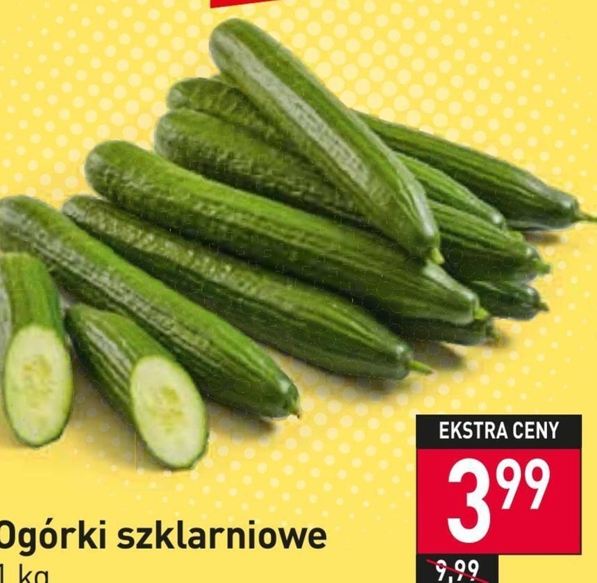 Stokrotka Ogórek oferta