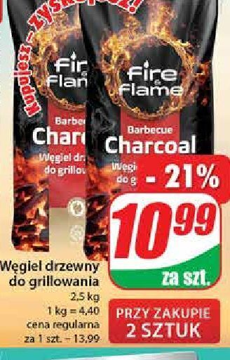 Dino Węgiel drzewny fire & flame oferta