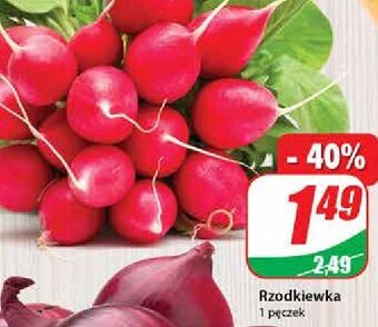 Dino Rzodkiewka oferta