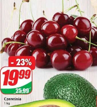 Dino Czereśnie oferta