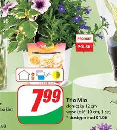 Dino Trio mio 12 cm oferta