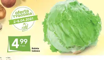 Odido Sałata lodowa sztuka oferta
