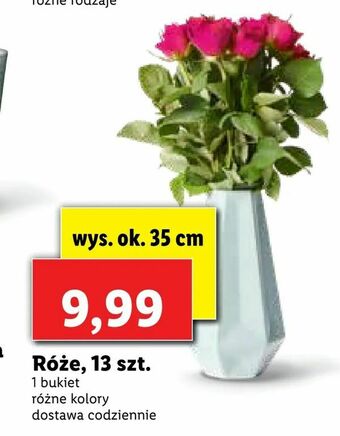 Lidl Róże, 13 szt oferta