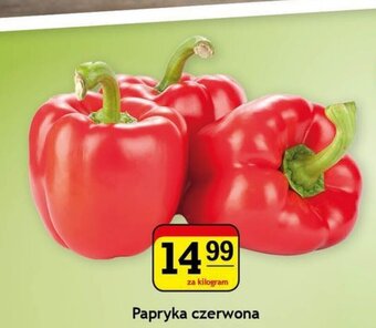 Gram Market Papryka czerwona 1kg oferta
