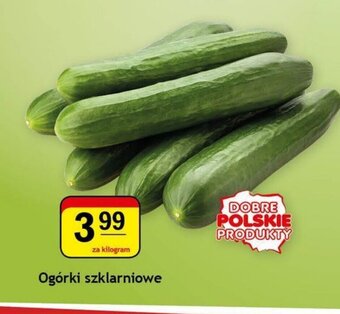 Gram Market Ogórki szklarniowe 1kg oferta