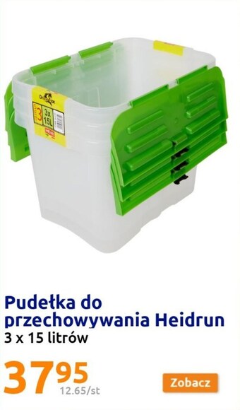 Action Pojemnik oferta