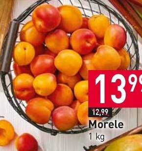 Stokrotka Morele oferta