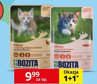Kakadu Karma dla kota bozita oferta
