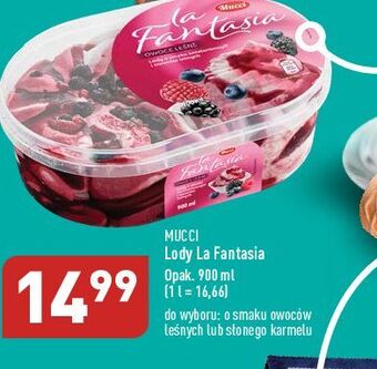 ALDI Lody o smaku owoców leśnych la fantasia mucci oferta