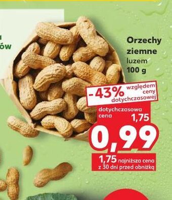 Kaufland Goździki oferta