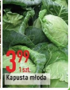 E.Leclerc Kapusta młoda oferta