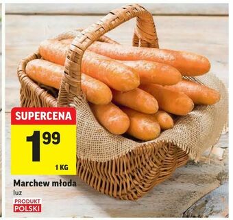 Intermarche Marchew młoda oferta