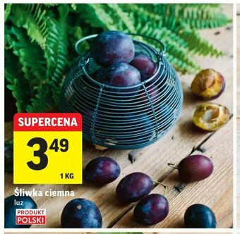 Śliwka ciemna