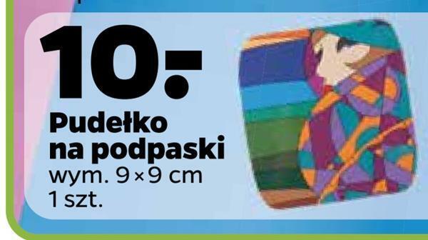 Netto Pudełko na podpaski oferta