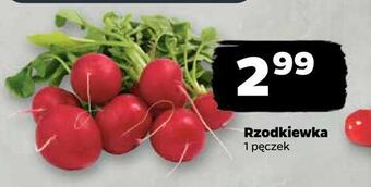 Netto Rzodkiewka oferta