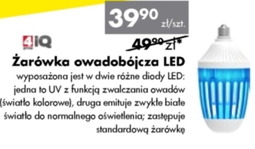 Mrówka Lampa owadobójcza 4iq oferta