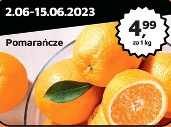 Odido Pomarańcza oferta