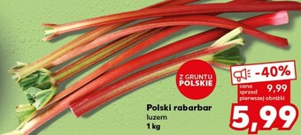 Kaufland Rabarbar oferta