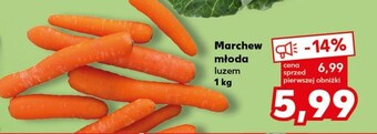 Kaufland Marchew oferta